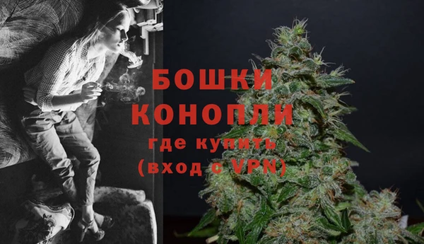 2c-b Горнозаводск